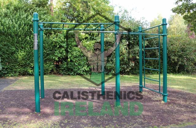 Outdoor gym setup at Albert College Park in Dublin, featuring calisthenics equipment for public bodyweight workouts