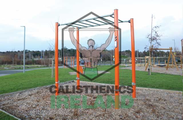 Monkey bars in Beckett Park outdoor gym, Dublin - calisthenics park equipment for bodyweight and functional training
