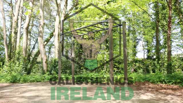 Outdoor monkey bars at Cabinteely Park in South Dublin, ideal for upper body and grip strength training