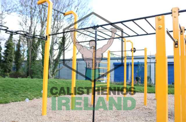 Monkey bars at Tymon Park in South Dublin, providing a calisthenics station for pull-ups, swings, and grip strength training